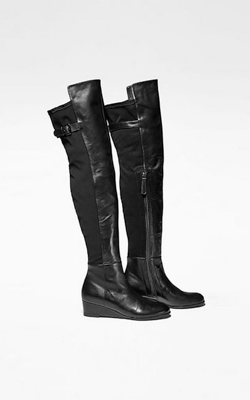 ����� Sarah Pacini 142.654