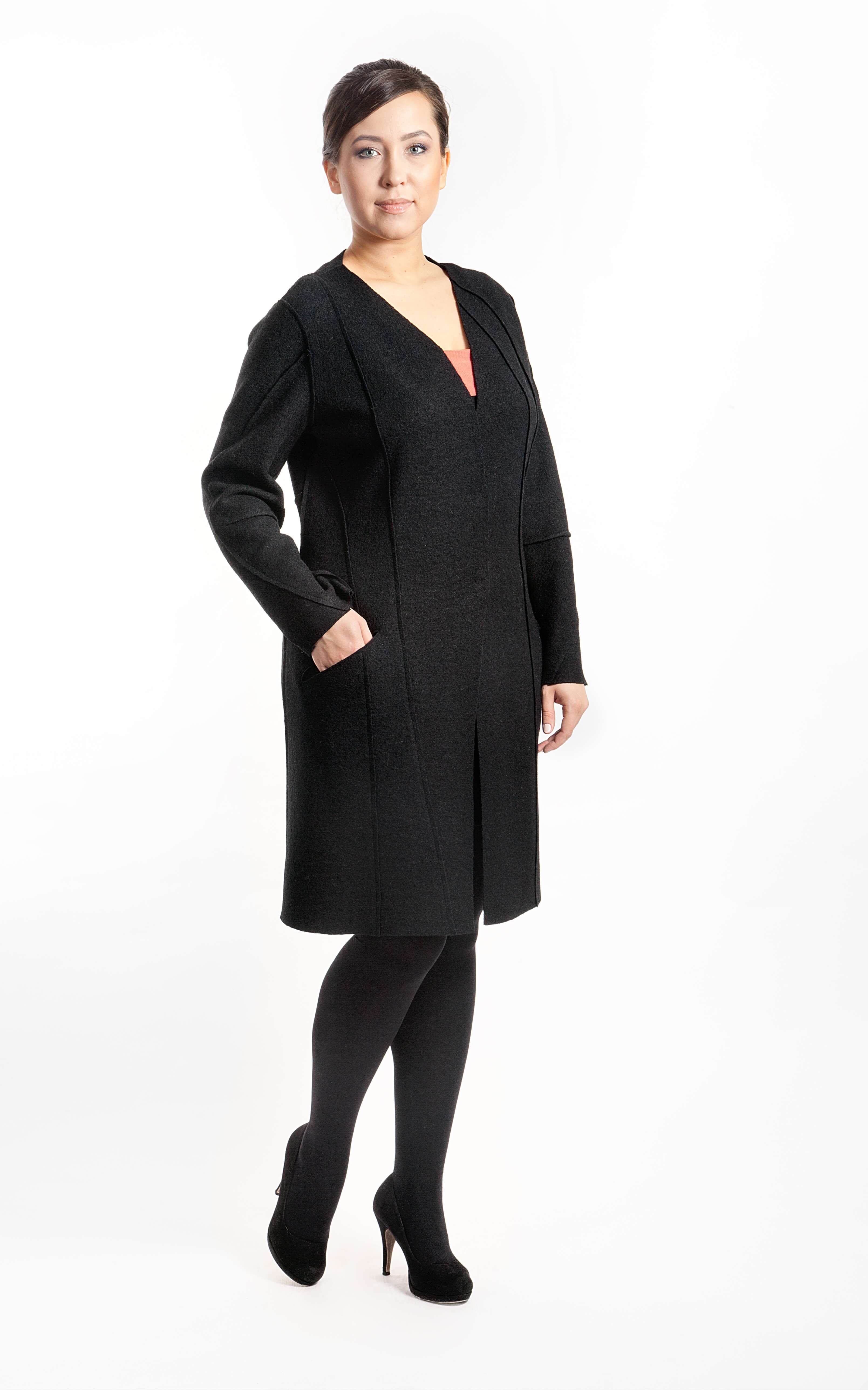 �������� Leonard�o V172 WV 10