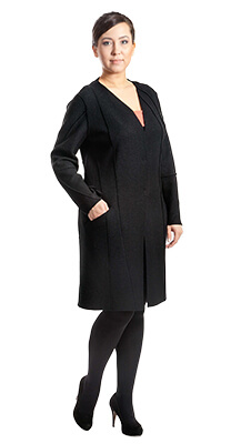 ������� �������� V172 WV 10