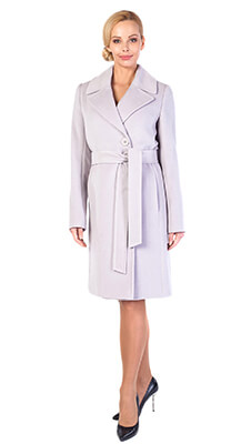 ������� ������ 229 WCAH 411