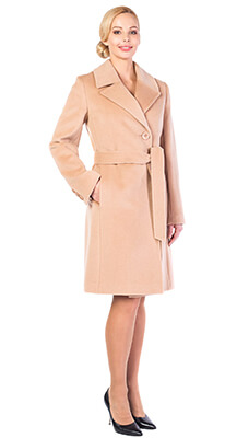 ������� ������ 229 WCAH 53